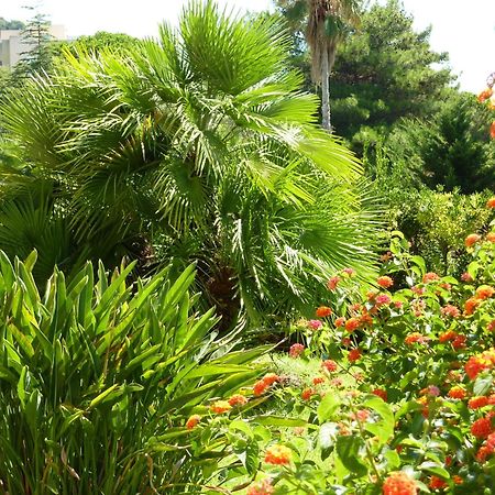 Hotel La Pinede أجاكسيو المظهر الخارجي الصورة